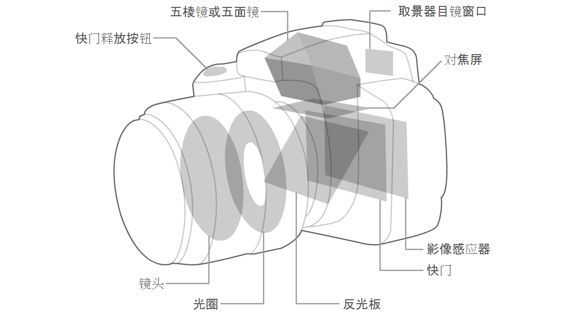数码单镜反光照相机构造