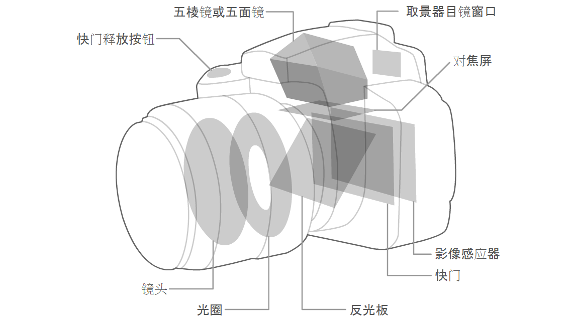 单反相机内部结构图图片